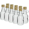 Galonik palack 40 ml, kupakkal; 10 db ['Galonik', ' galonik palack', ' alkoholos palack', ' likőrös palack', ' laposüveg likőrös palack']