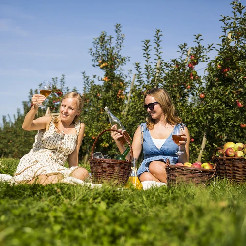 20 L-es ciderkészítő készlet - 16