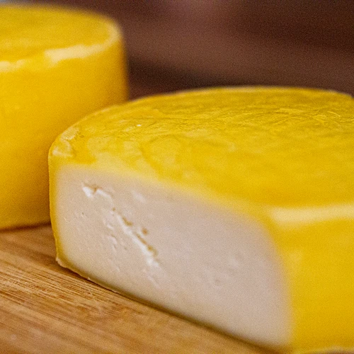 Baktériumkultúrák Gouda sajthoz - 5