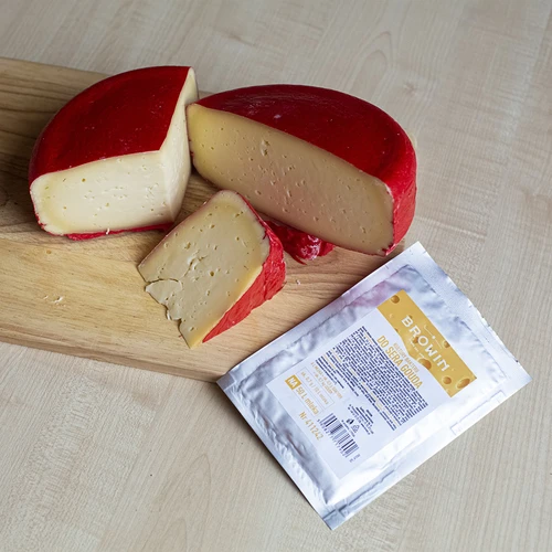 Baktériumkultúrák Gouda sajthoz - 2