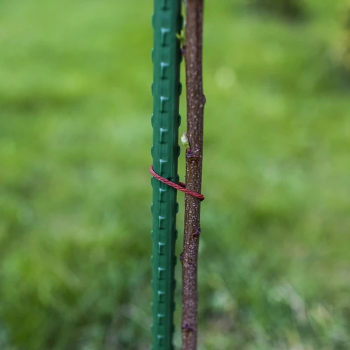Bioogród kerti karók – bevonatos acél, 1,8 m, Ø 11 mm, 10 db - 5
