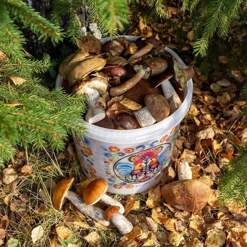 Élelmiszeres vödör GWIOZDA - fedéllel, 10 L - 10