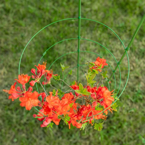 Gyűrűs növénytámasz, 3 gyűrűvel, 0,5 m - 3