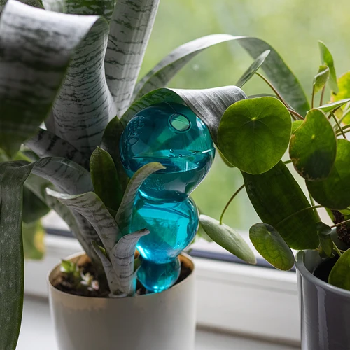 Háromkamrás (háromrekeszes) öntözőgömb, átlátszó kék, 600 ml - 6