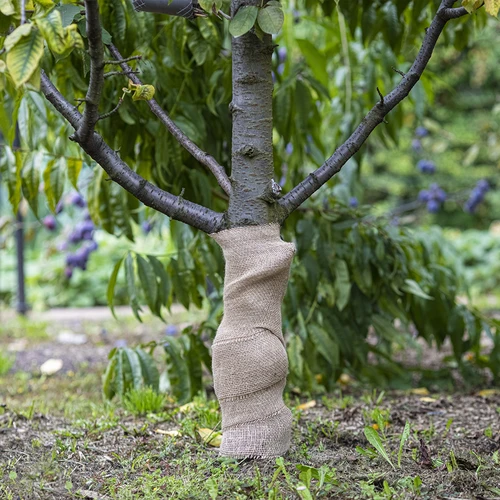 Jutaszalag 10 cm/5 m - 5