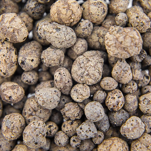Keramzit cserepes növényekhez, kertészethez és üvegbe zárt erdőkhöz, 4–10 mm, 1 l - 5