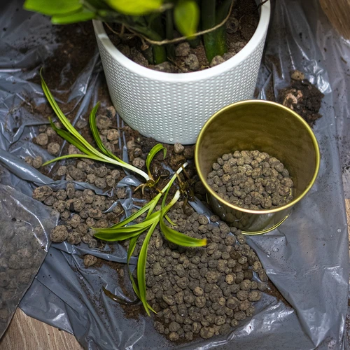Keramzit cserepes növényekhez, kertészethez és üvegbe zárt erdőkhöz, 4–10 mm, 1 l - 9