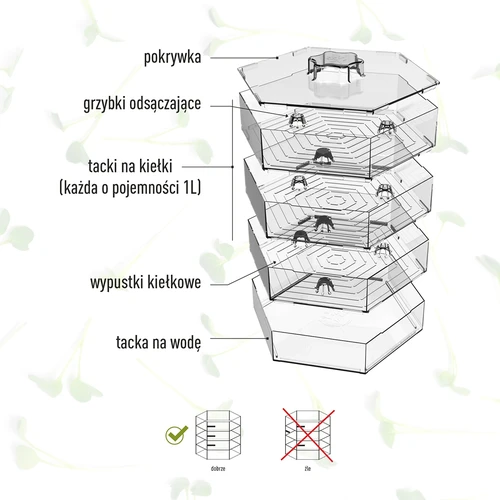 Niezłe Ziółko többszintes csíráztató retkmagokkal - 11
