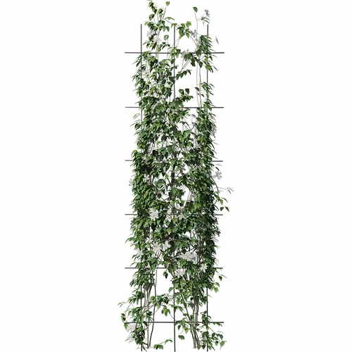 Növénytámasz - futtatórács (150cm x 45cm) 3 darab - 3