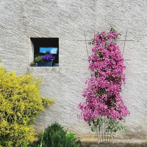Növénytámasz - rács (150 cm x 75 cm) 2 darab - 4