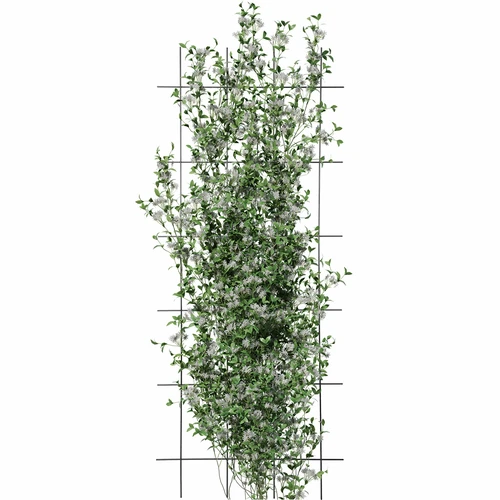 Növénytámasz - rács (150cm x 60cm) 3 darab - 3