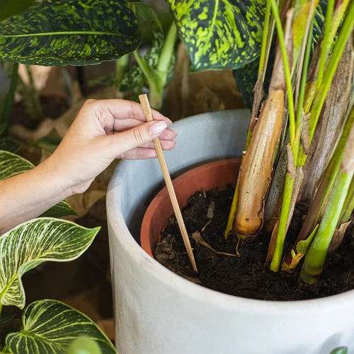 Önöntöző növényekhez – zöld levél, 120 ml - 6