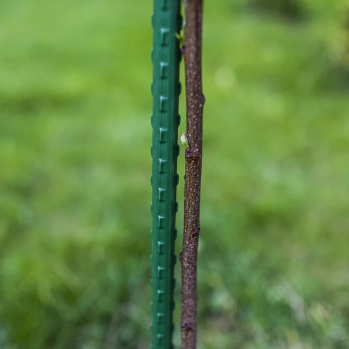 PE-bevonatú acél karó 0,8m x 8mm - 3