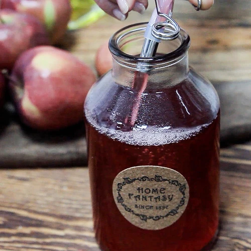 Rozsdamentes acél gőzölős lékinyerő párolóval, 5 l - 18