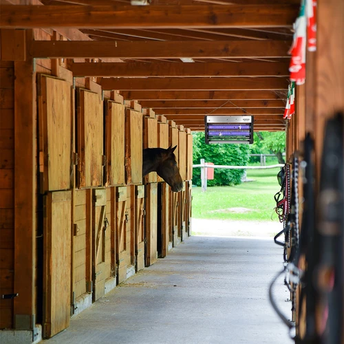 UVA rovarölő lámpa, 40 W, ezüst - 11
