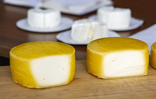 Házi Gouda típusú sárga sajt