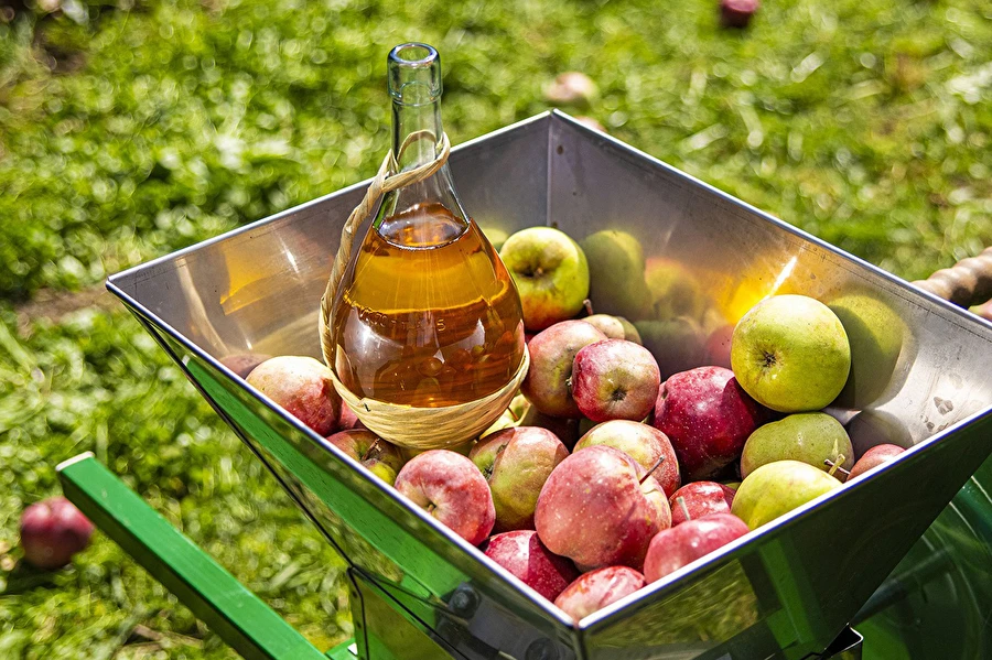 Browin Przepiśnik - Házi cider