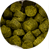 Sörfőzés